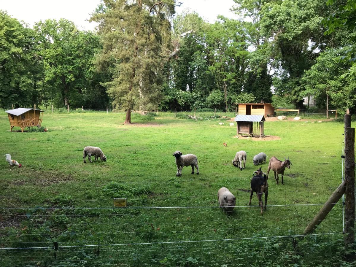Ferienwohnung Schloss Schrattenthal エクステリア 写真