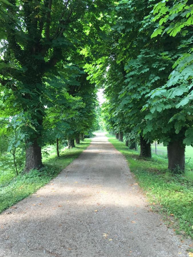 Ferienwohnung Schloss Schrattenthal エクステリア 写真