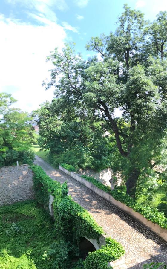 Ferienwohnung Schloss Schrattenthal エクステリア 写真
